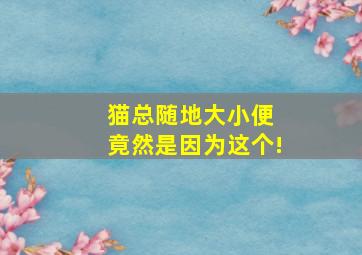 猫总随地大小便 竟然是因为这个!